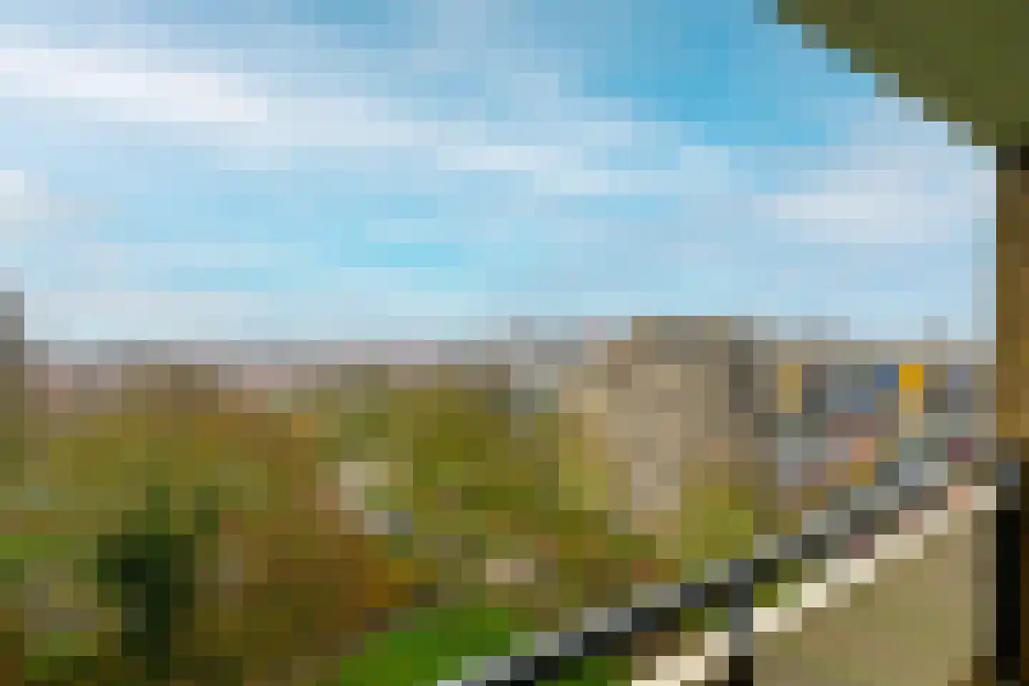 Cruquiuslaan 143 Leiden thumbnail 21