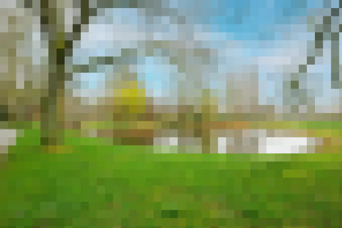 Cruquiuslaan 143 Leiden thumbnail 33