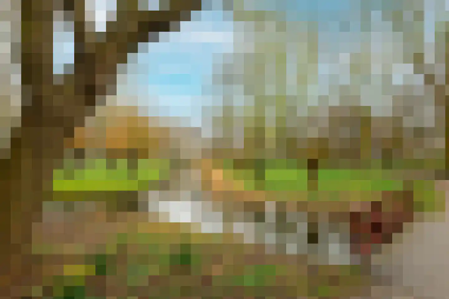 Cruquiuslaan 143 Leiden thumbnail 34