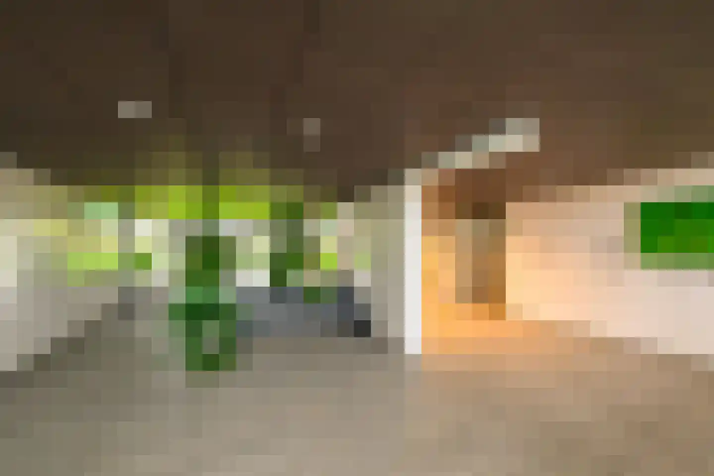 Cruquiuslaan 143 Leiden thumbnail 5