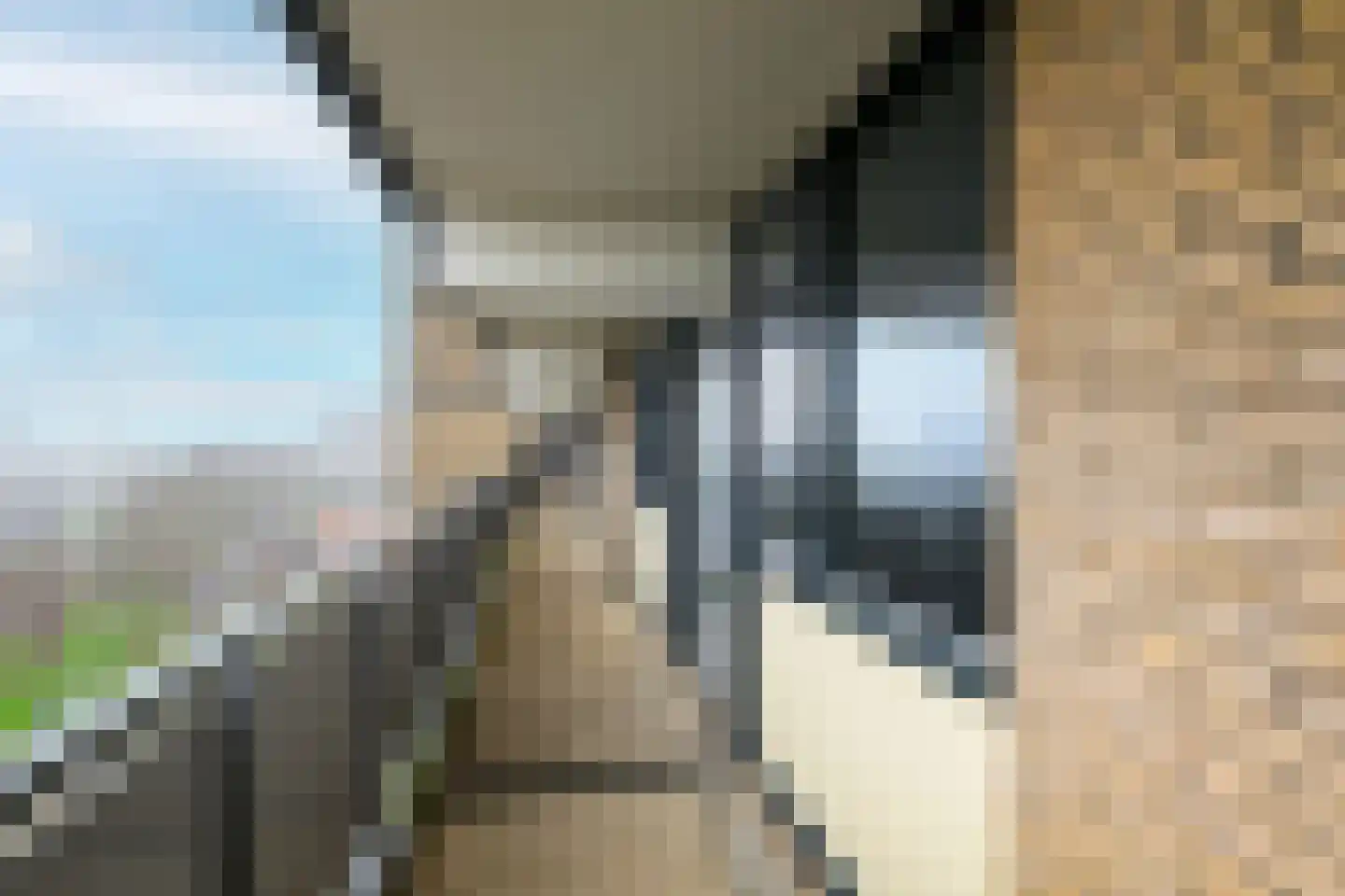 Cruquiuslaan 143 Leiden thumbnail 7