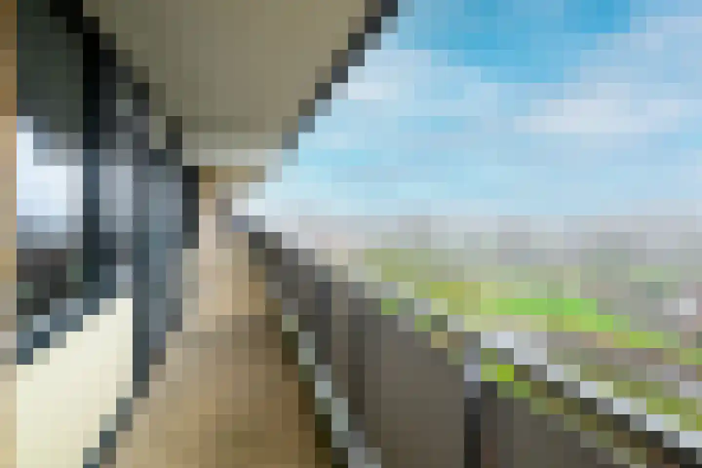 Cruquiuslaan 143 Leiden thumbnail 8
