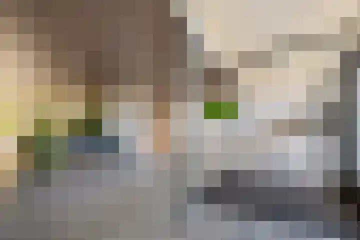 Cruquiuslaan 156 Leiden thumbnail 7