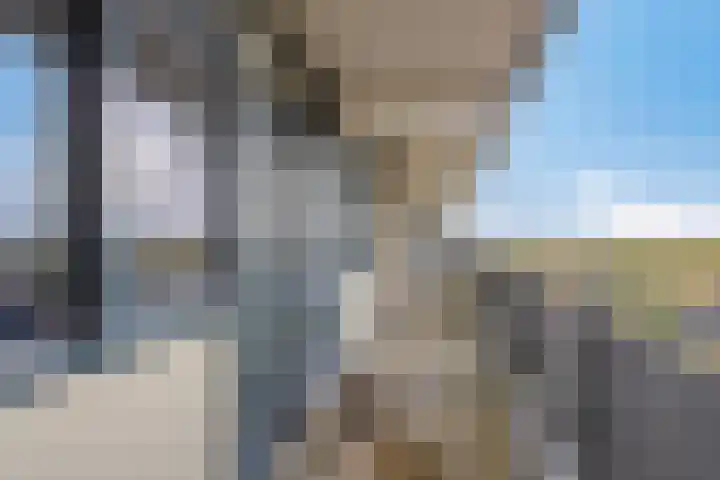 Cruquiuslaan 156 Leiden thumbnail 8