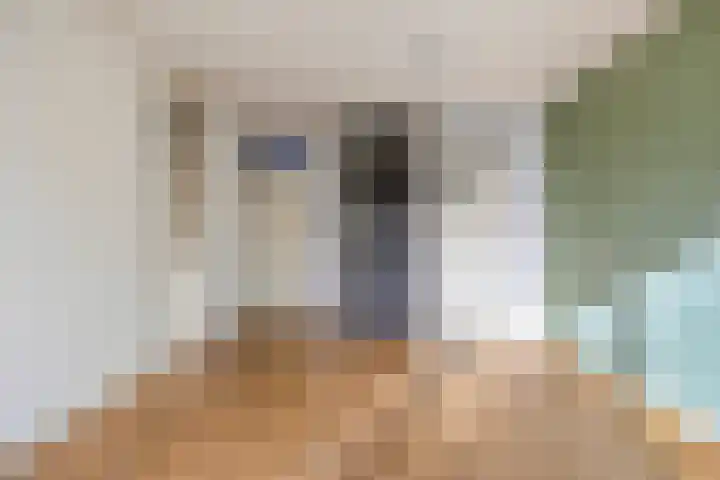 Cruquiuslaan 16 Leiden thumbnail 14