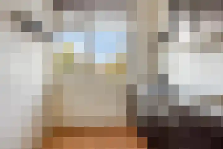 Cruquiuslaan 16 Leiden thumbnail 16