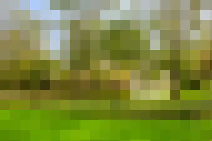 Cruquiuslaan 16 Leiden thumbnail 29