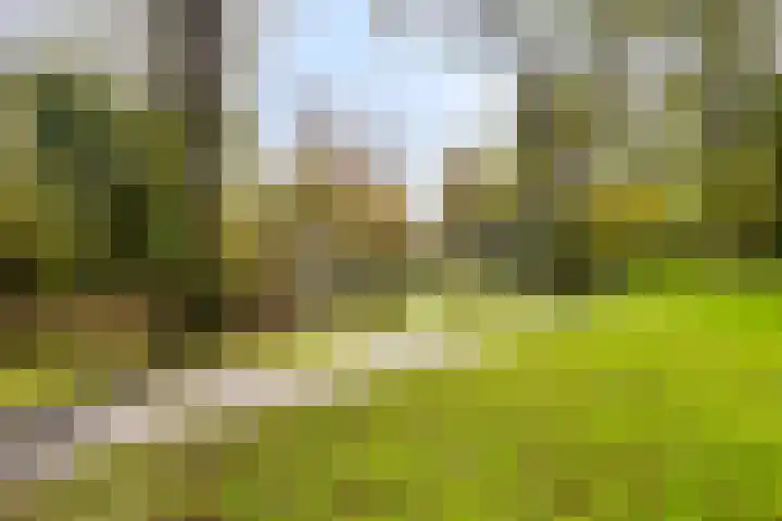 Cruquiuslaan 16 Leiden thumbnail 31