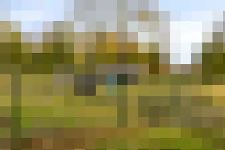 Cruquiuslaan 16 Leiden thumbnail 32