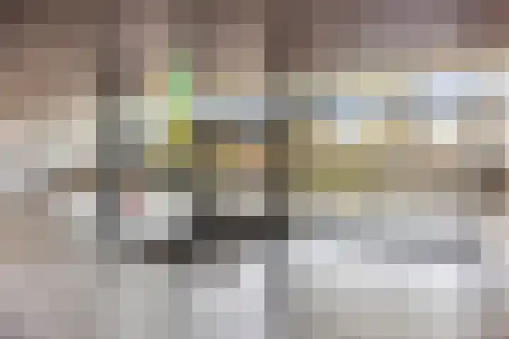 Cruquiuslaan 16 Leiden thumbnail 7