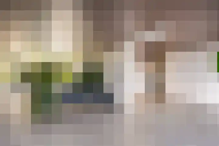 Cruquiuslaan 16 Leiden thumbnail 8