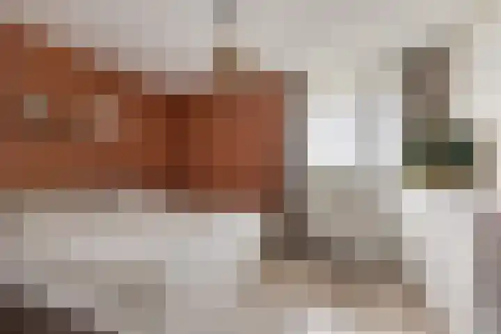 Cruquiuslaan 161 Leiden thumbnail 11