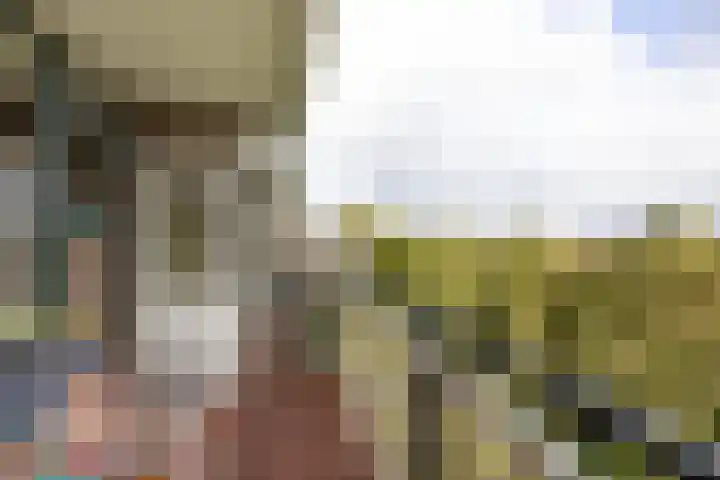 Cruquiuslaan 161 Leiden thumbnail 18