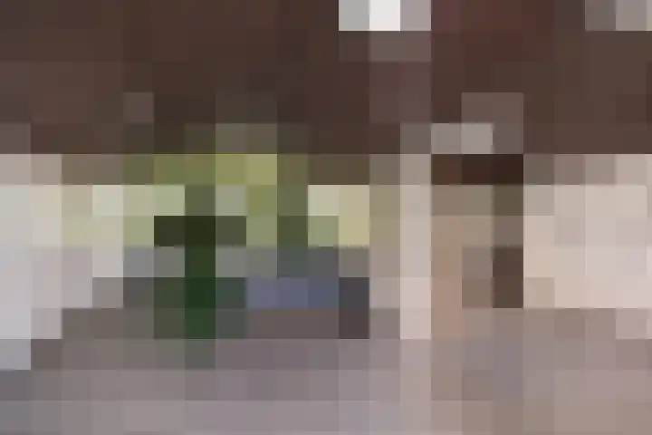 Cruquiuslaan 161 Leiden thumbnail 21