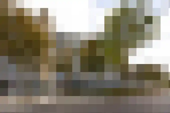 Cruquiuslaan 161 Leiden thumbnail 22