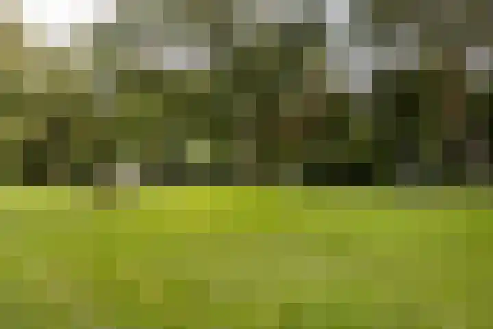 Cruquiuslaan 161 Leiden thumbnail 23