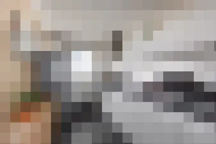 Cruquiuslaan 161 Leiden thumbnail 7