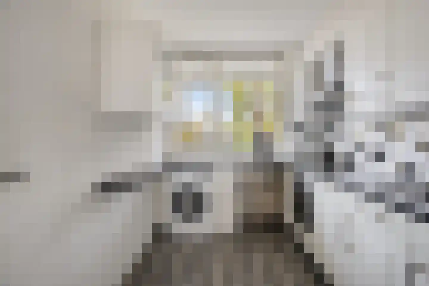 Cruquiuslaan 31 Leiden thumbnail 11