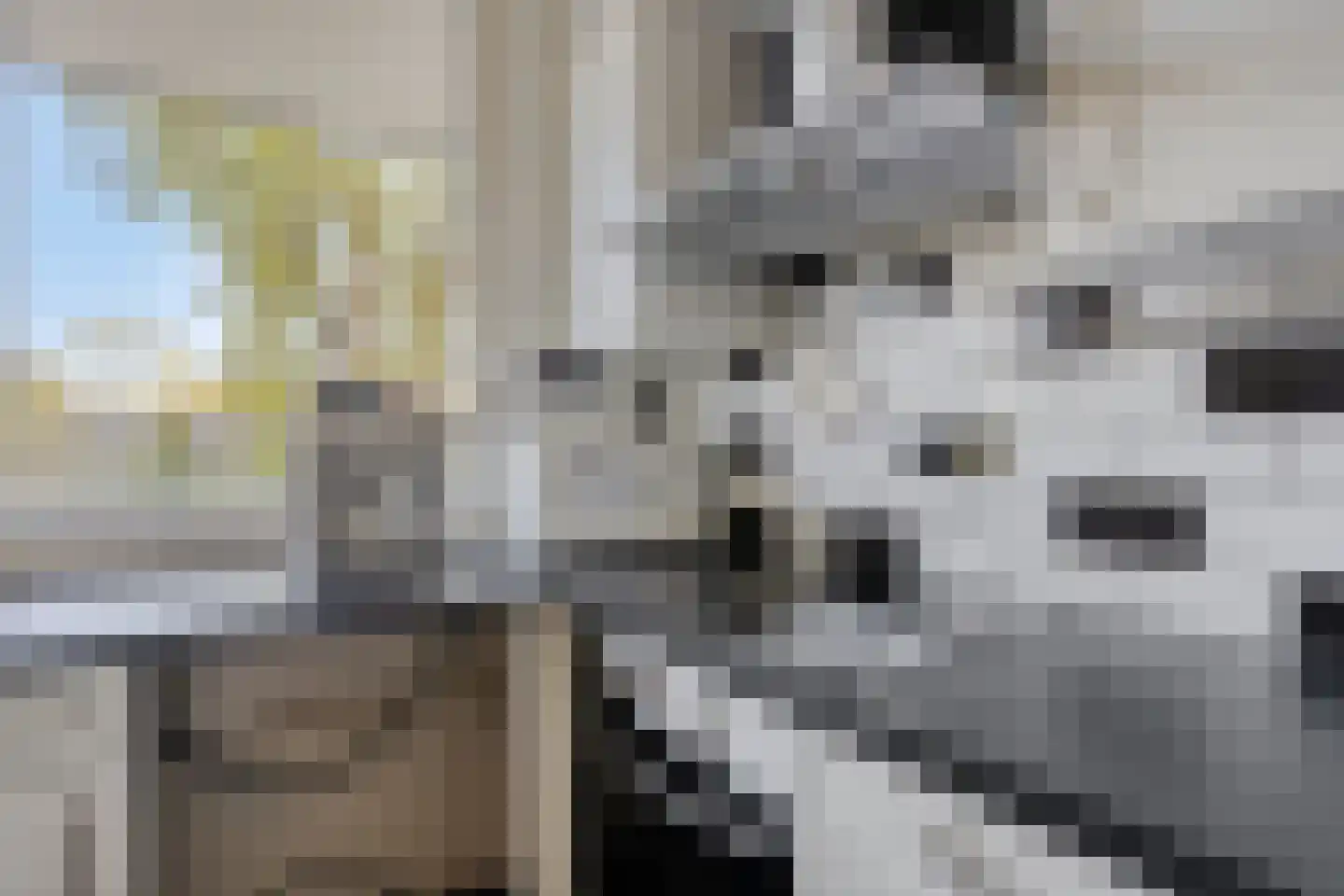 Cruquiuslaan 31 Leiden thumbnail 12