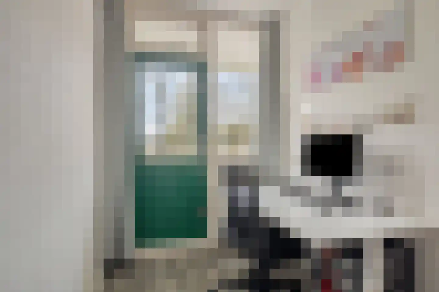 Cruquiuslaan 31 Leiden thumbnail 16