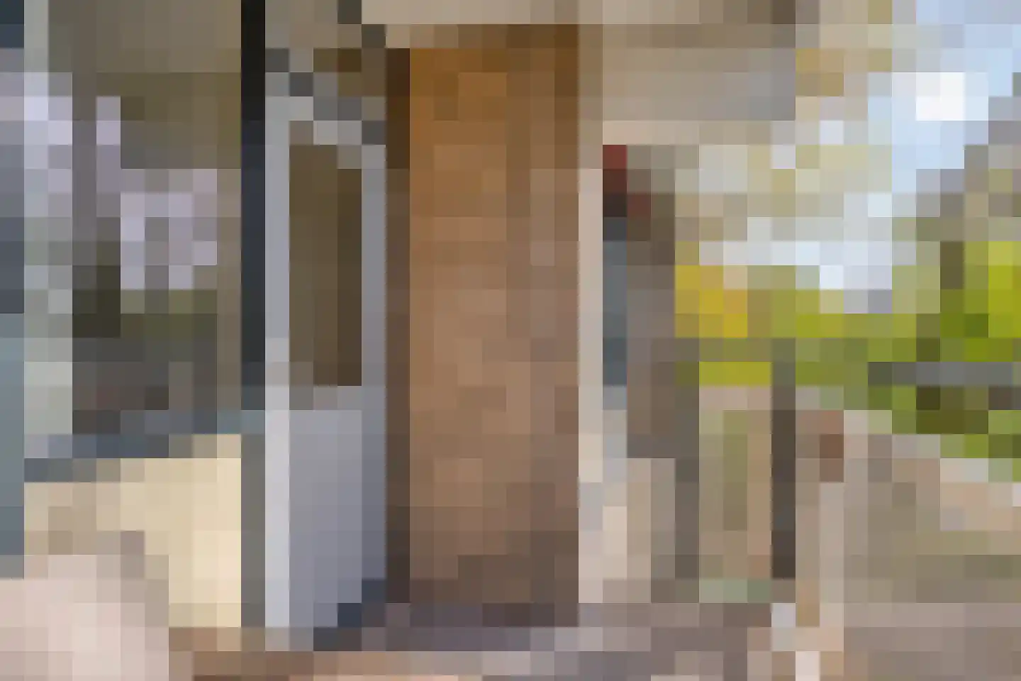 Cruquiuslaan 31 Leiden thumbnail 17