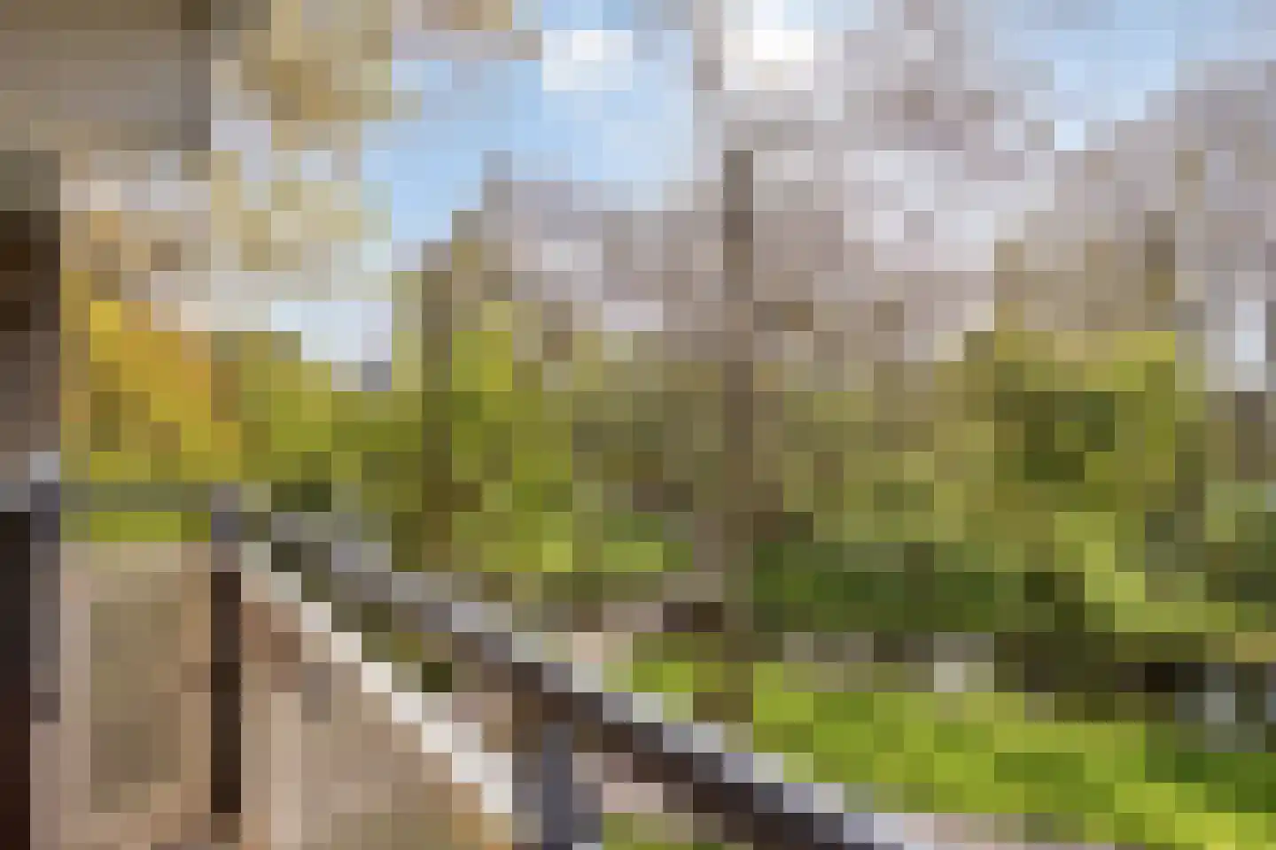 Cruquiuslaan 31 Leiden thumbnail 19