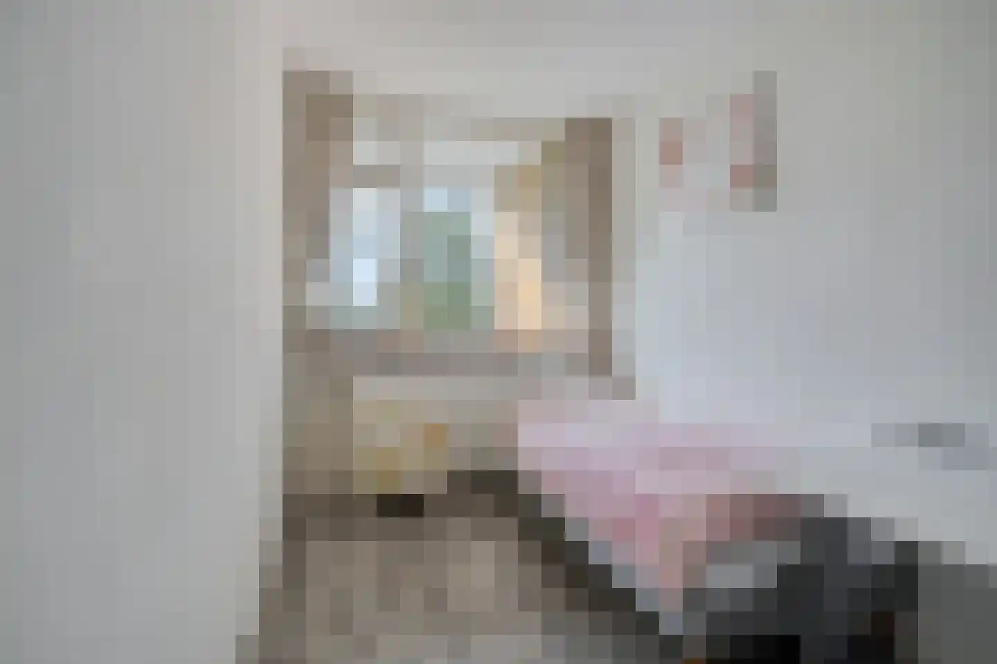 Cruquiuslaan 31 Leiden thumbnail 21