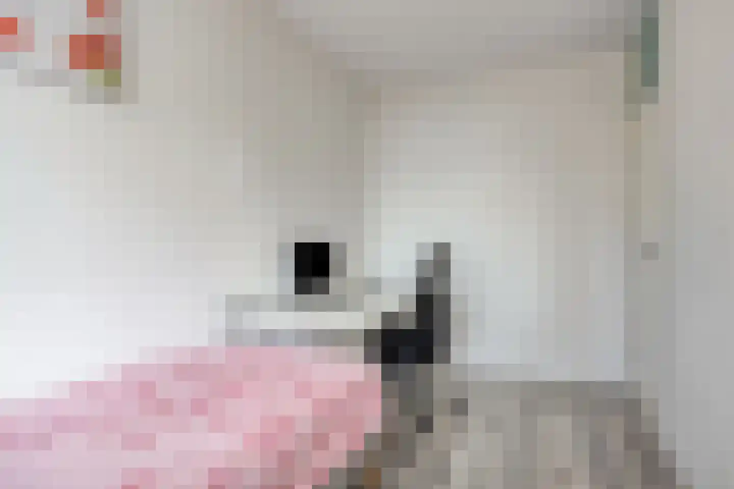 Cruquiuslaan 31 Leiden thumbnail 22