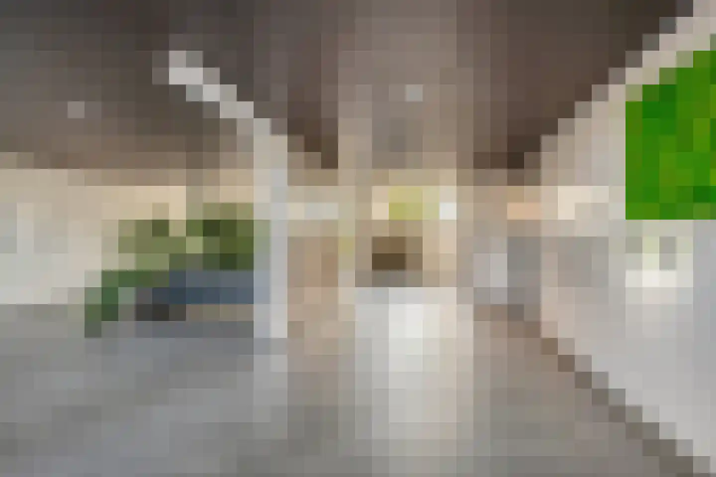 Cruquiuslaan 31 Leiden thumbnail 5