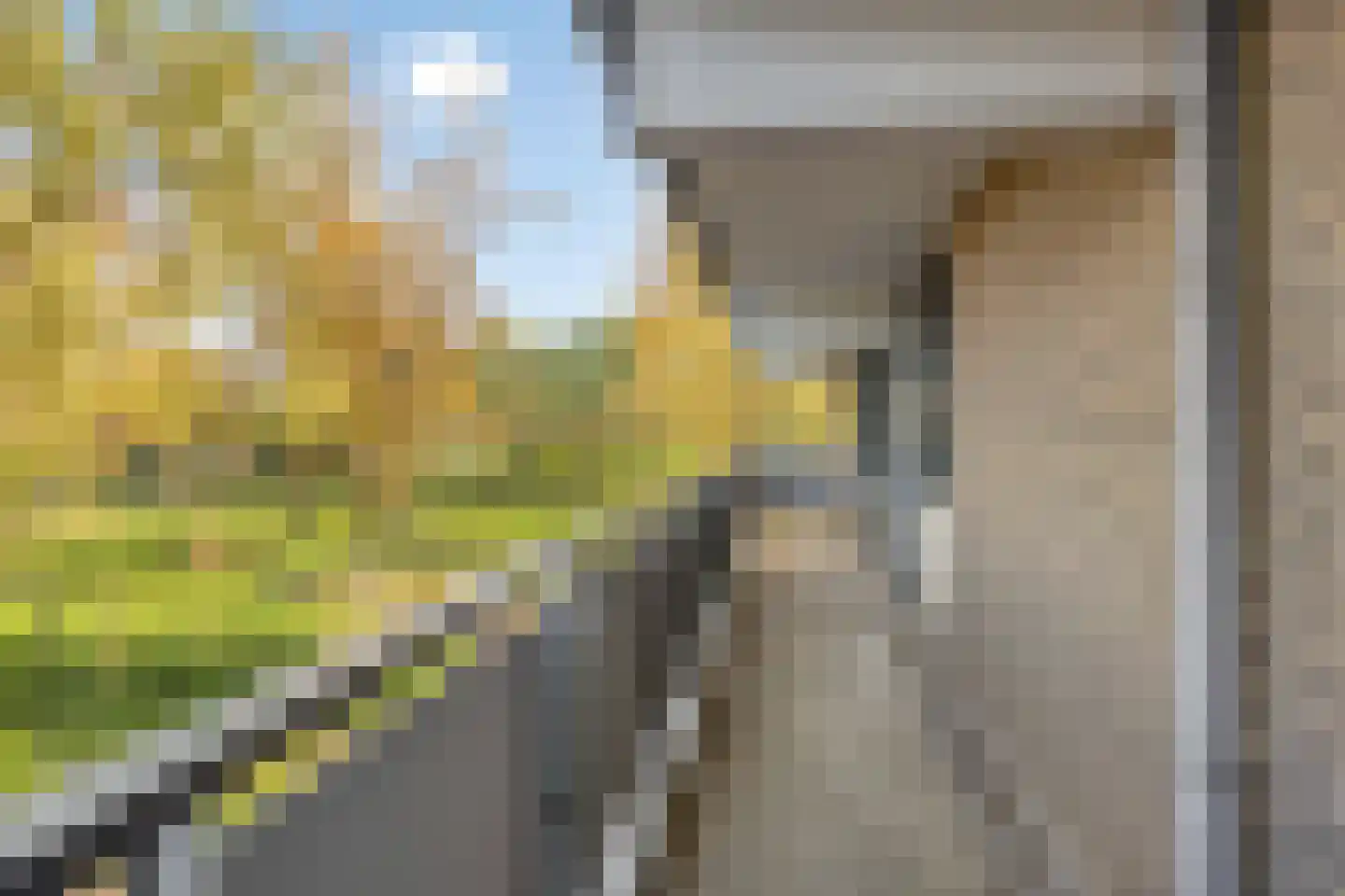 Cruquiuslaan 31 Leiden thumbnail 6