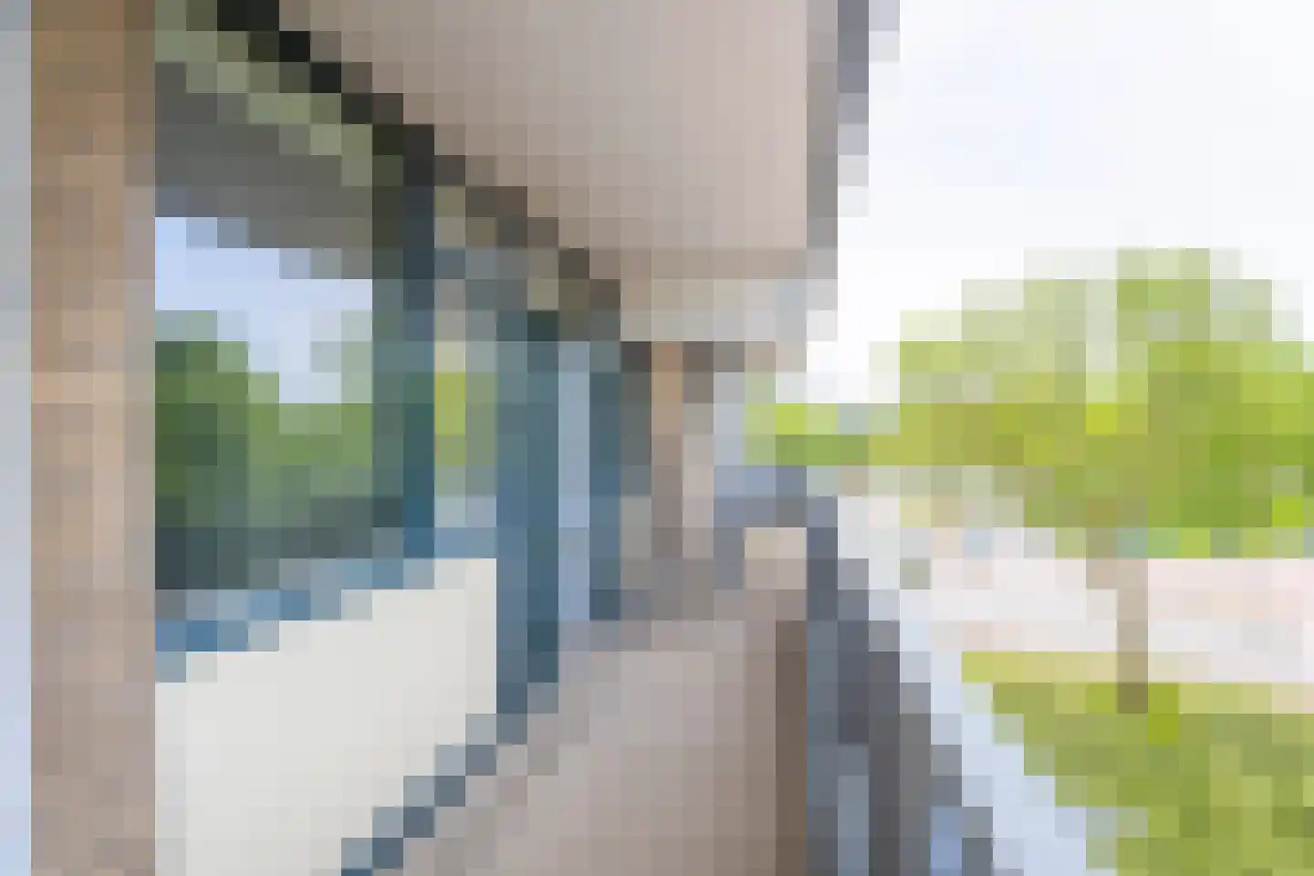 Cruquiuslaan 45 Leiden thumbnail 23