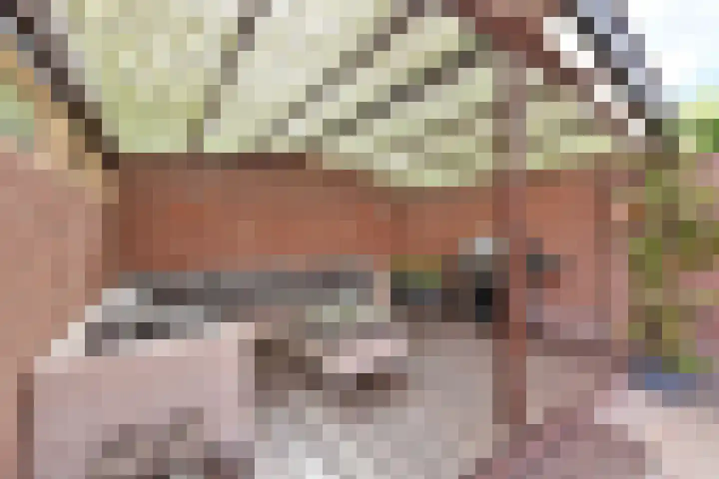 Cruquiusstraat 11 Hilversum thumbnail 18