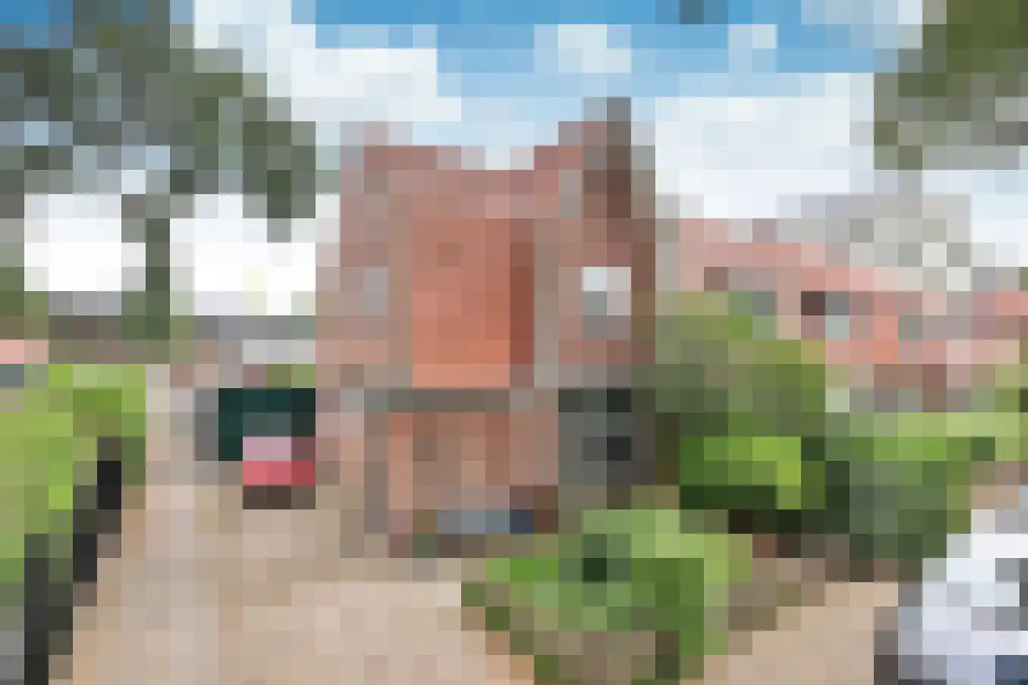Cruquiusstraat 12 Hilversum thumbnail 18