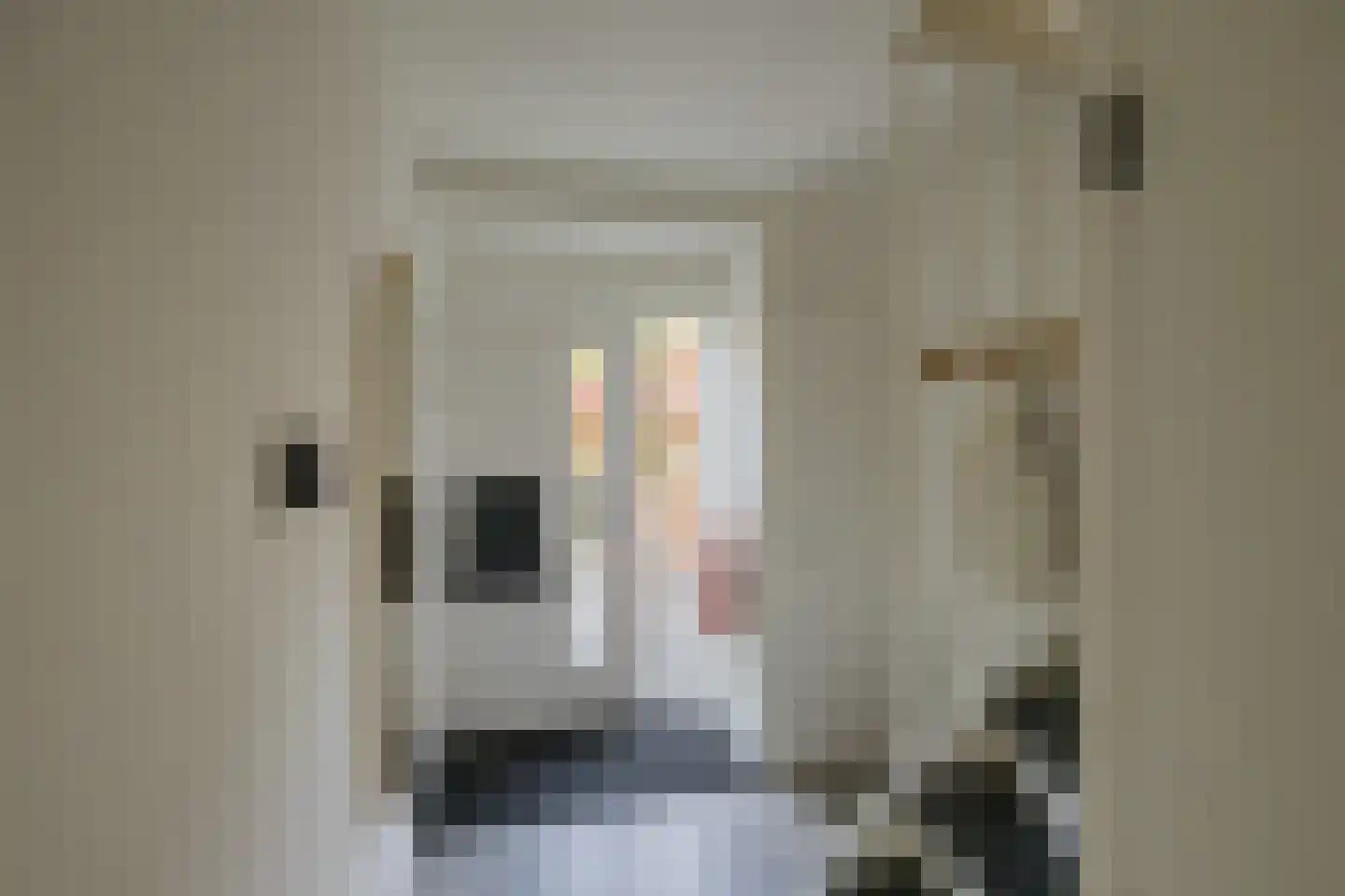 Cruquiusstraat 26 Spaarndam thumbnail 9