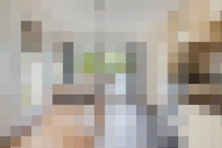 Cruquiusstraat 3 Hulst thumbnail 16