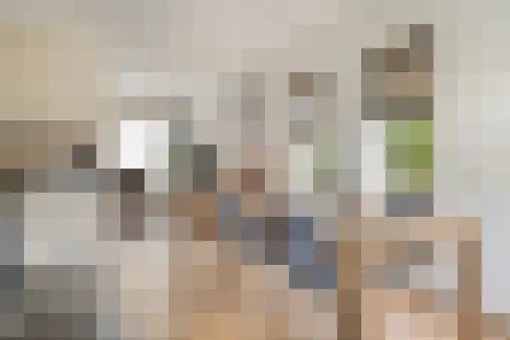 Cruquiusstraat 3 Hulst thumbnail 17
