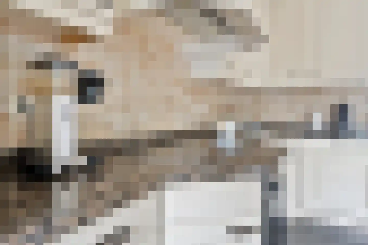 Cruquiusstraat 3 Hulst thumbnail 18