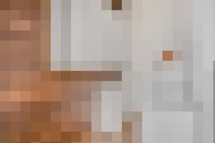 Cruquiusstraat 3 Hulst thumbnail 20