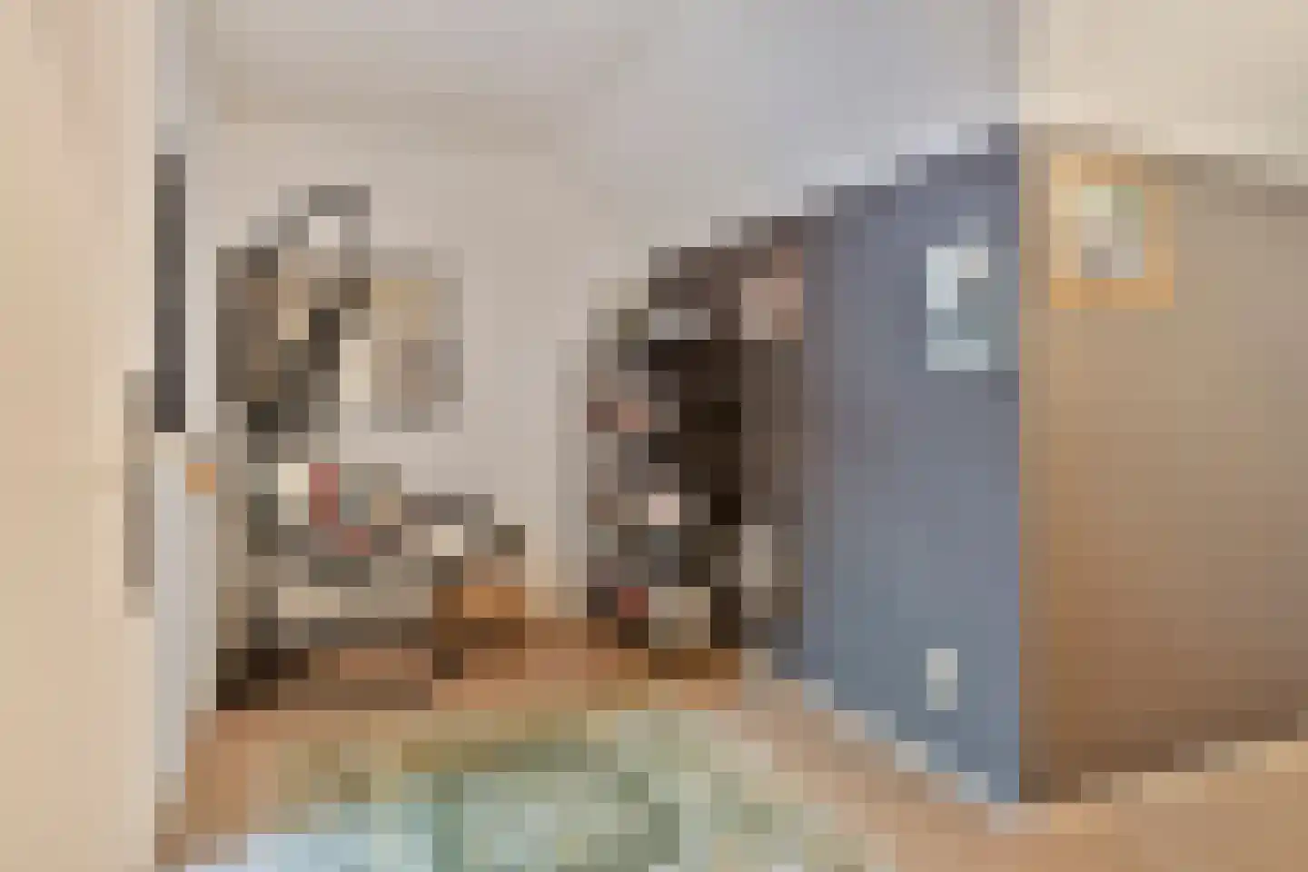 Cruquiusstraat 3 Hulst thumbnail 30