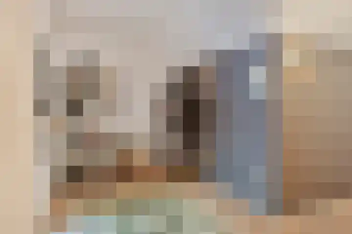 Cruquiusstraat 3 Hulst thumbnail 30
