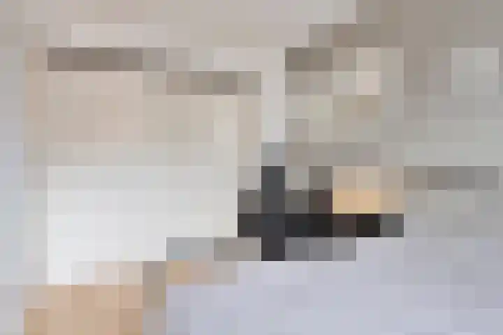 Cruquiusstraat 3 Hulst thumbnail 32