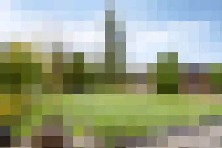 Cruquiusstraat 3 Hulst thumbnail 39