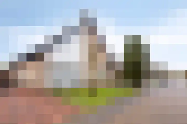 Cruquiusstraat 3 Hulst thumbnail 4