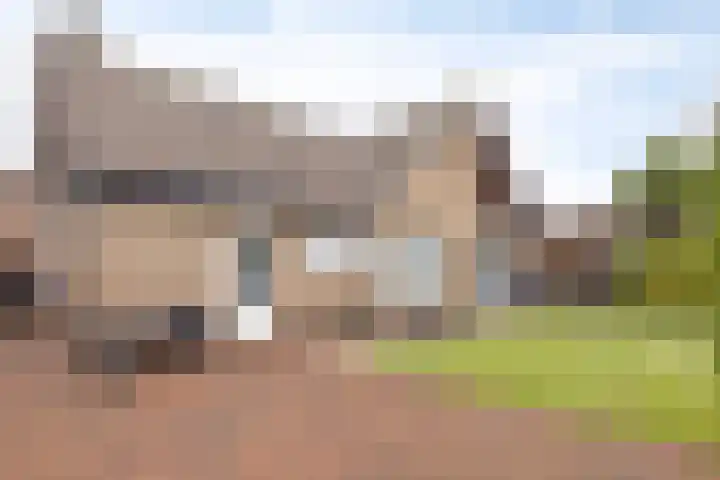 Cruquiusstraat 3 Hulst thumbnail 43