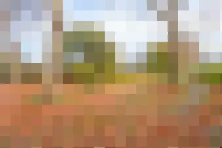 Cruquiusstraat 3 Hulst thumbnail 44
