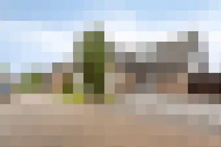 Cruquiusstraat 3 Hulst thumbnail 45