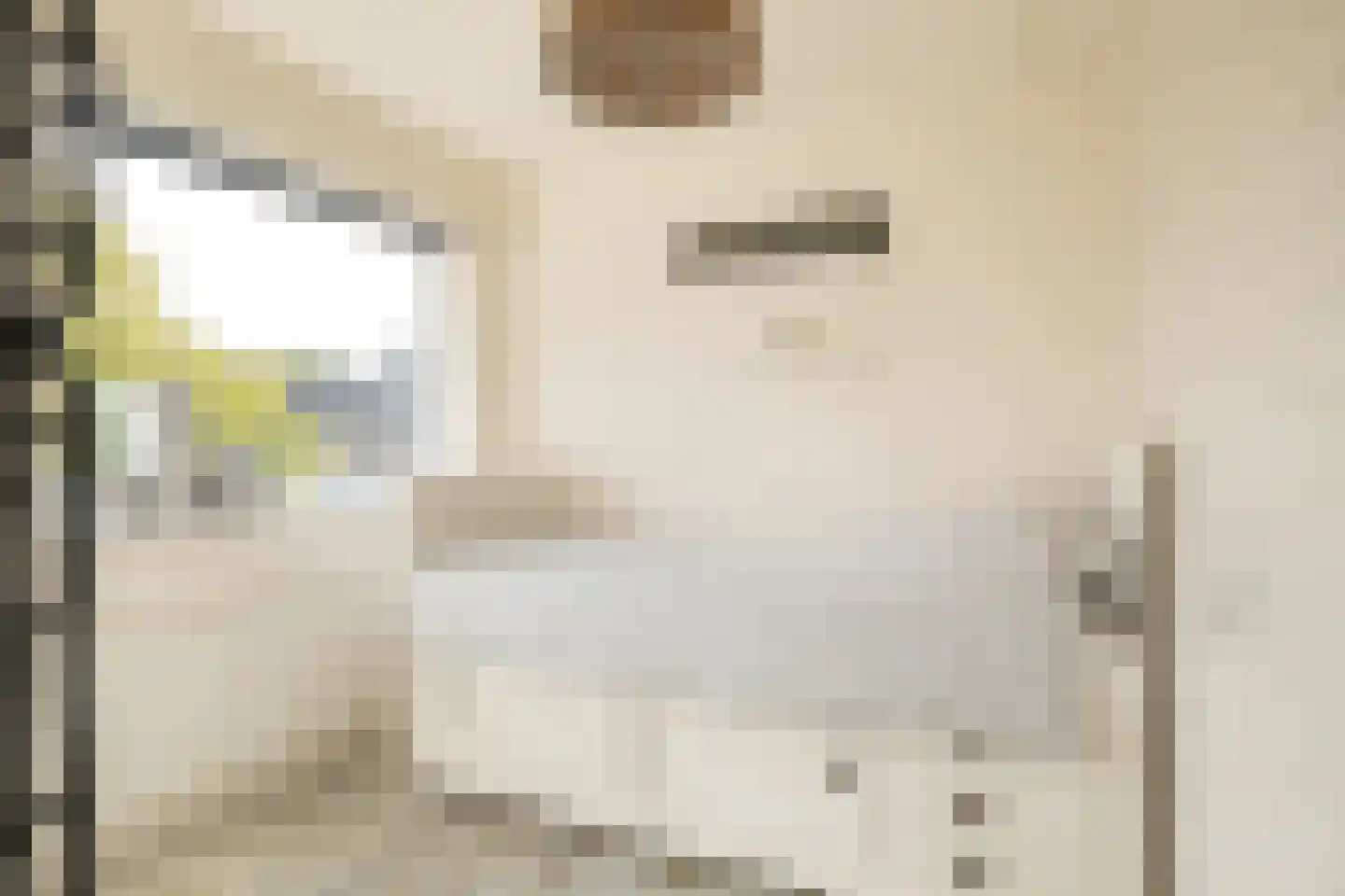Cruquiusstraat 3 Kampen thumbnail 21