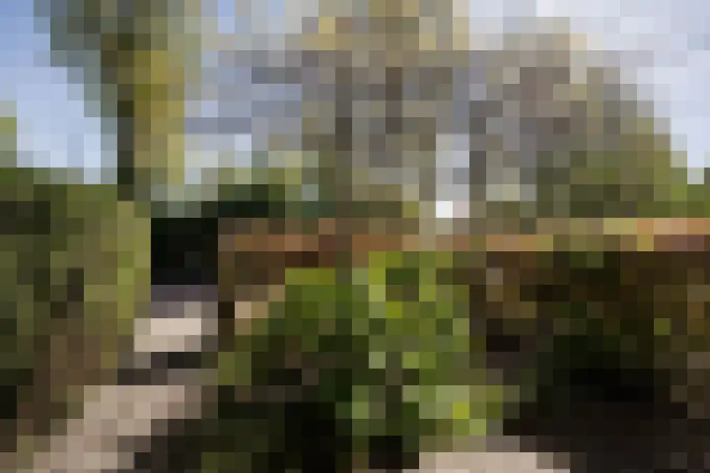 Cruquiusweg 146 Heemstede thumbnail 33