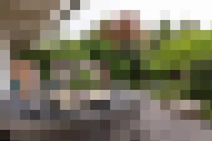 Cruquiusweg 166 Heemstede thumbnail 11