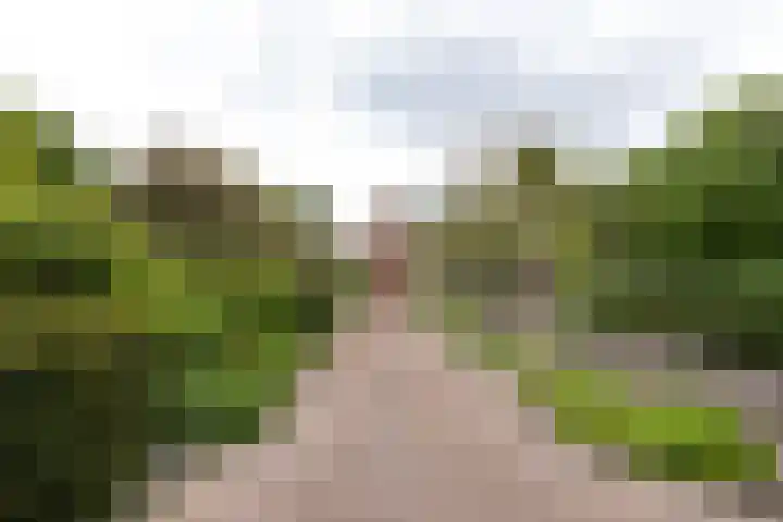 Cruquiusweg 166 Heemstede thumbnail 36